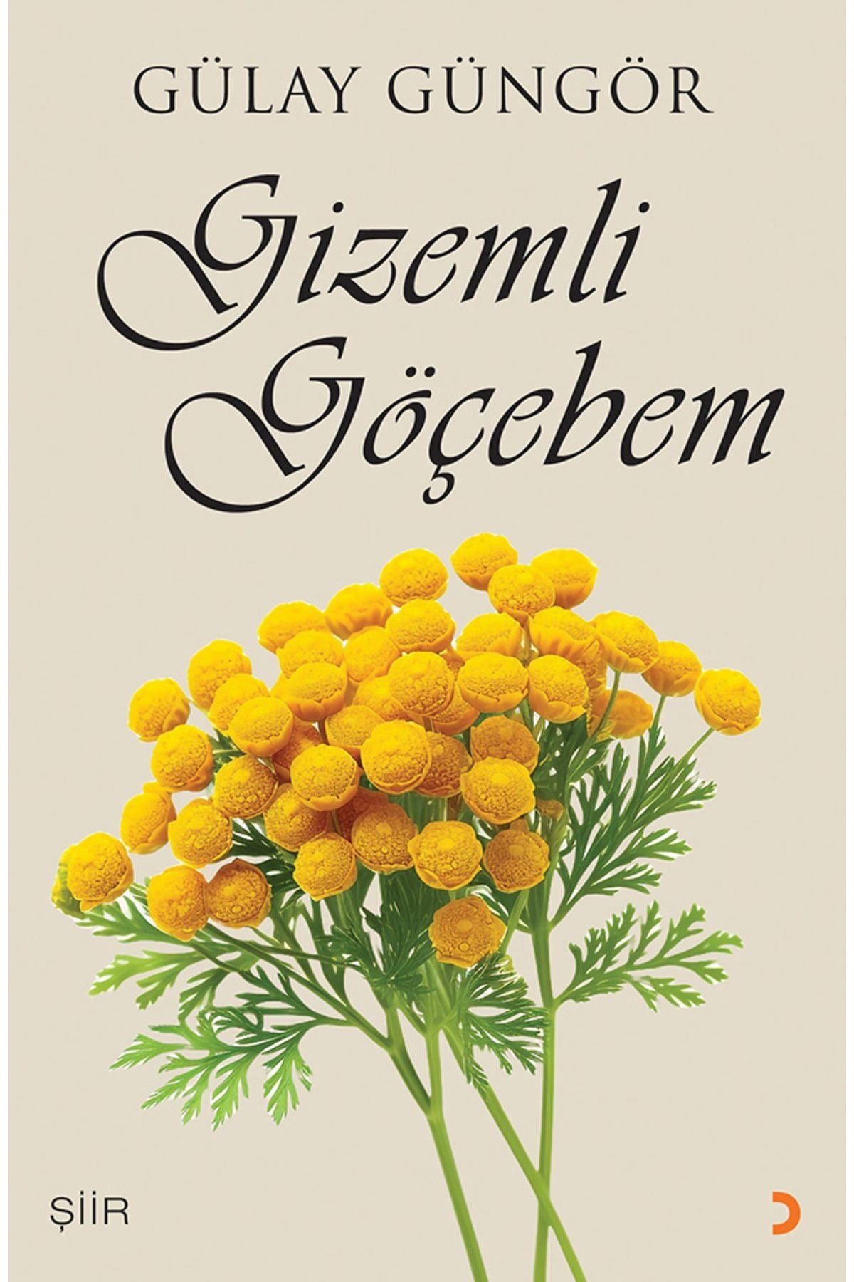 Gizemli Göçebem