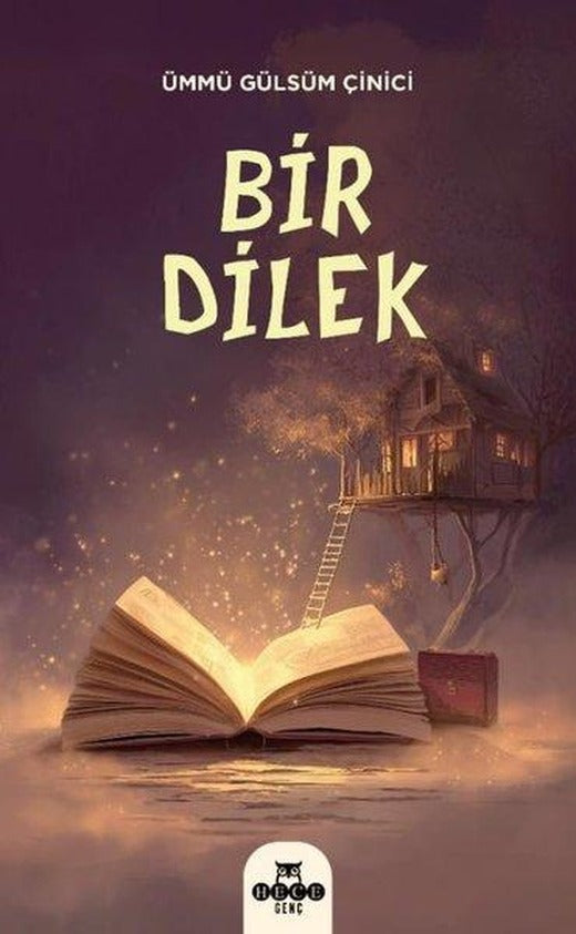 Bir Dilek | Hece Yayınları (İnce Kapak)