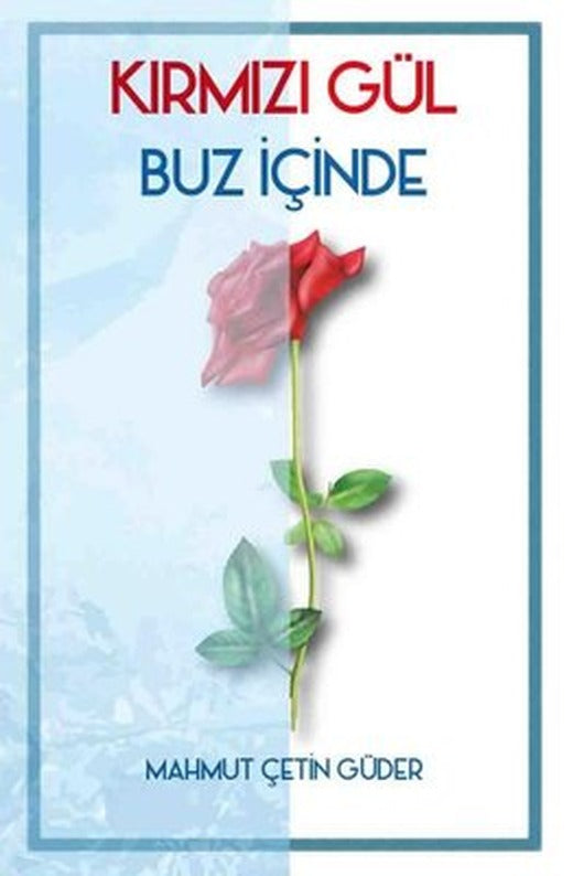 Kırmızı Gül-Buz İçinde | Aşıkça Yayınevi