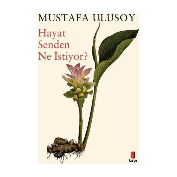Hayat Senden Ne İstiyor? | Kapı Yayınları (İnce Kapak )
