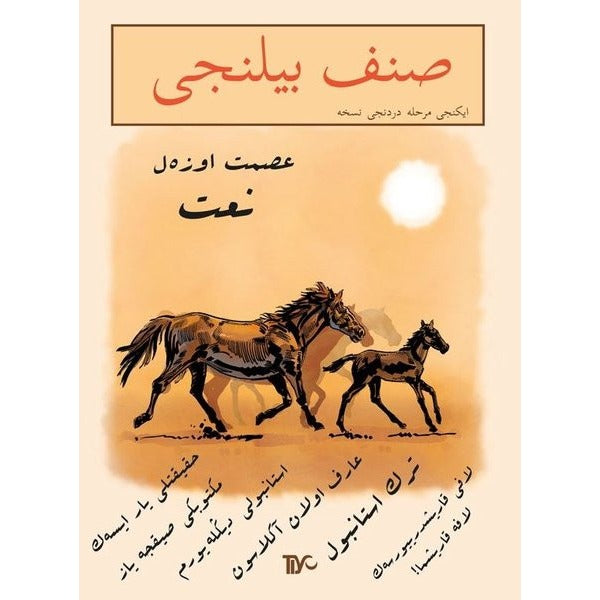 Sınıf Bilinci 2.Merhale 4.Nüsha | Tiyo Yayınları