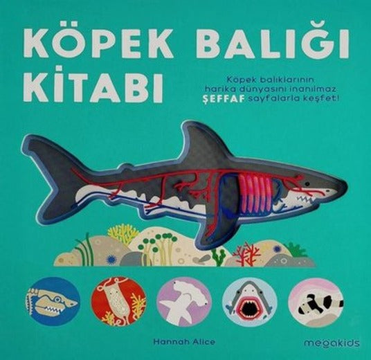 Köpek Balığı Kitabı | Megakids Yayıncılık (Ciltli)