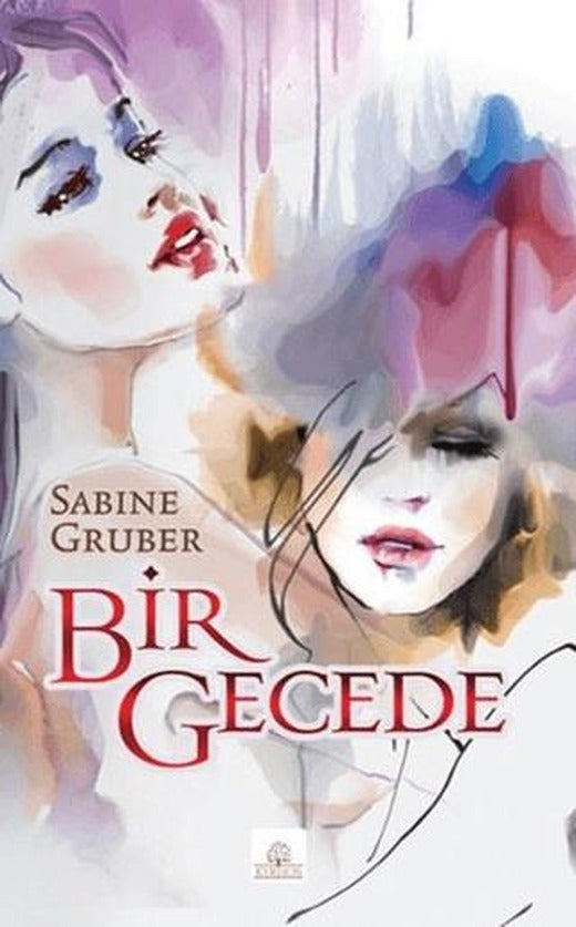 Bir Gecede