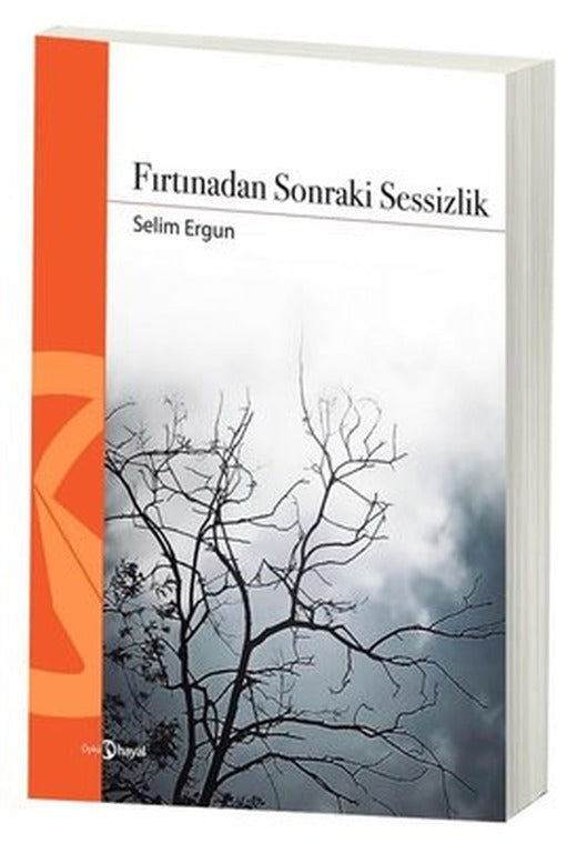 Fırtınadan Sonraki Sessizlik | Hayal (İnce Kapak)