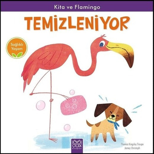 Temizleniyor-Kita ve Flamingo | 1001 Çiçek