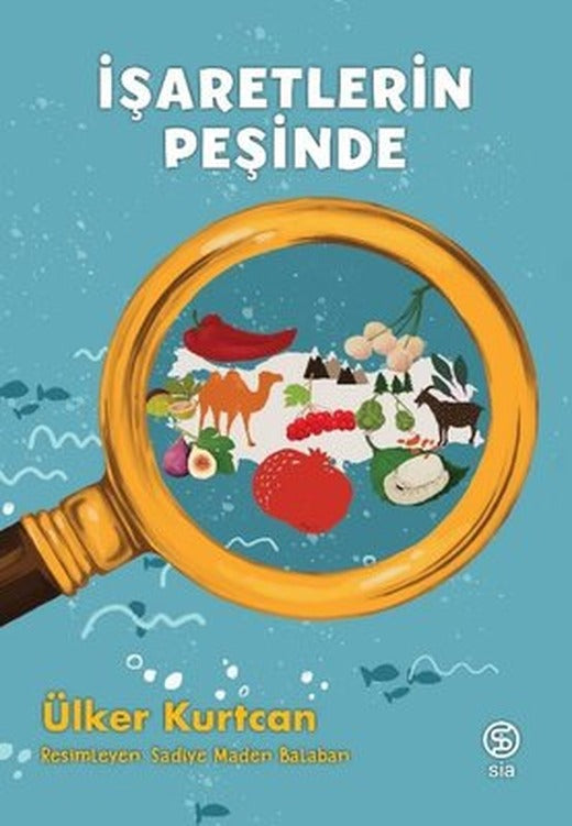 İşaretlerin Peşinde | Sia