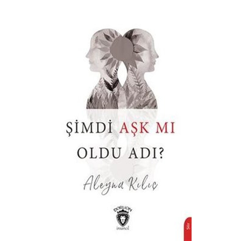 Şimdi Aşk Mm Oldu Adı? | Dorlion Yayınevi