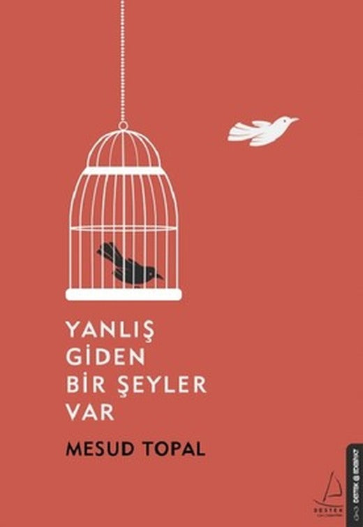 Yanlış Giden Bir Şeyler Var | Destek Yayınları
