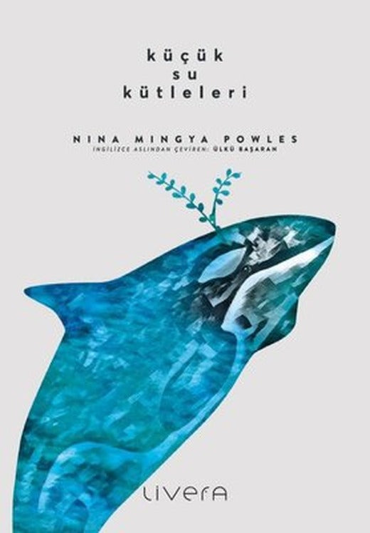 Küçük Su Kütleleri | Livera Yayınevi