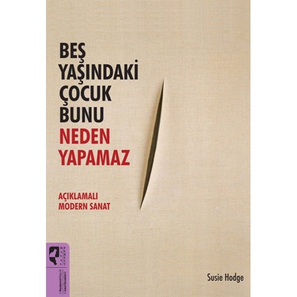 Beş Yaşındaki Çocuk Bunu Neden Yapamaz | Hayalperest Yayınevi (İnce Kapak)