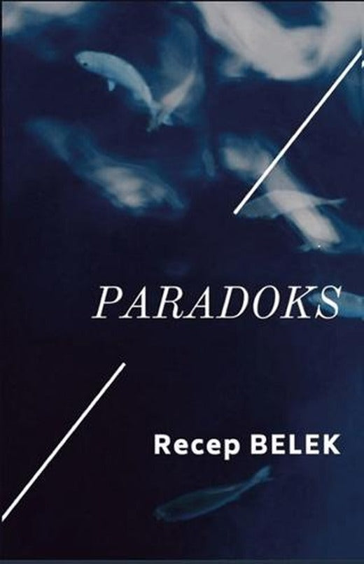 Paradoks | Platanus Publishing (Ciltsiz)