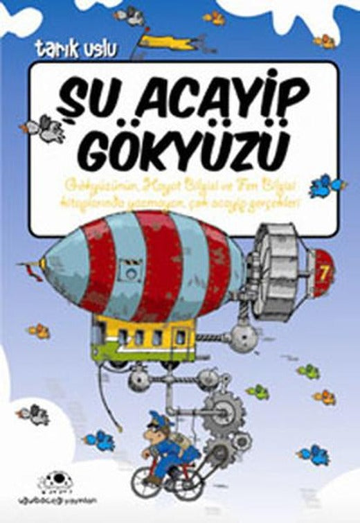 Şu Acayip Gökyüzü | Uğurböceği (e-Kitap)