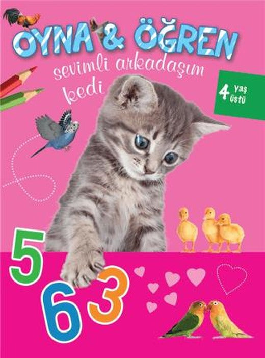 Sevimli Arkadaşım Kedi