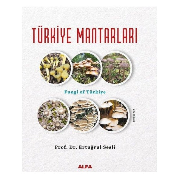 Türkiye Mantarları - Fungi of Türkiye | Alfa Yayıncılık (Ciltli)