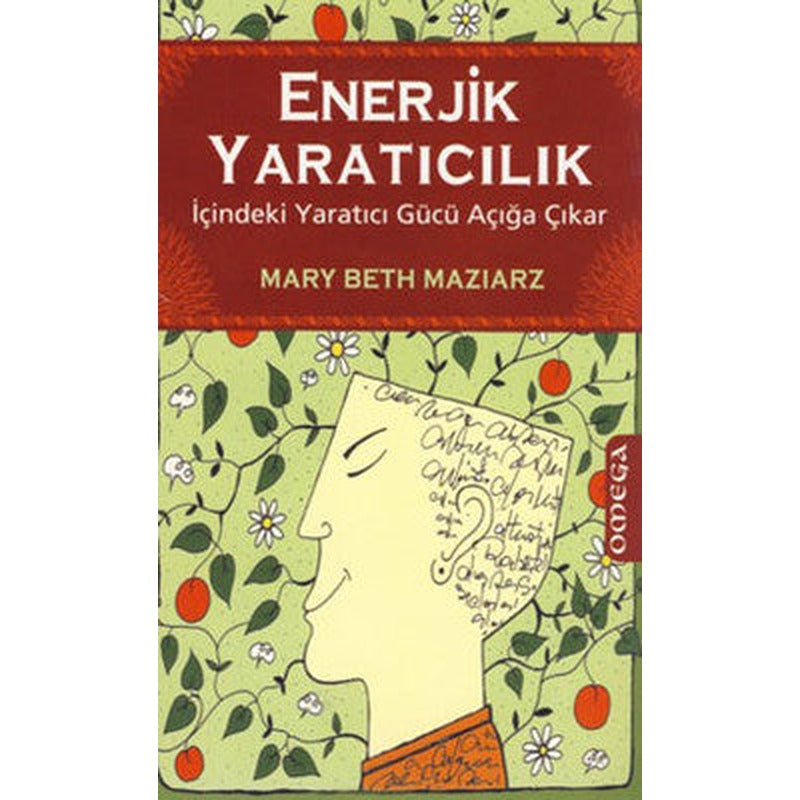 Enerjik Yaratıcılık | Mega Yayınları