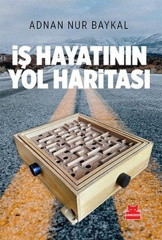 İş Hayatının Yol Haritası | Kırmızı Kedi