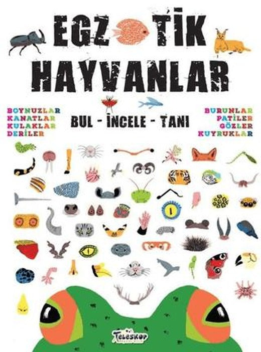 Egzotik Hayvanlar | Teleskop Popüler Bilim (Ciltsiz)