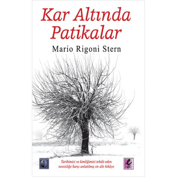 Kar Altında Patikalar | Efil Yayınevi Yayınları