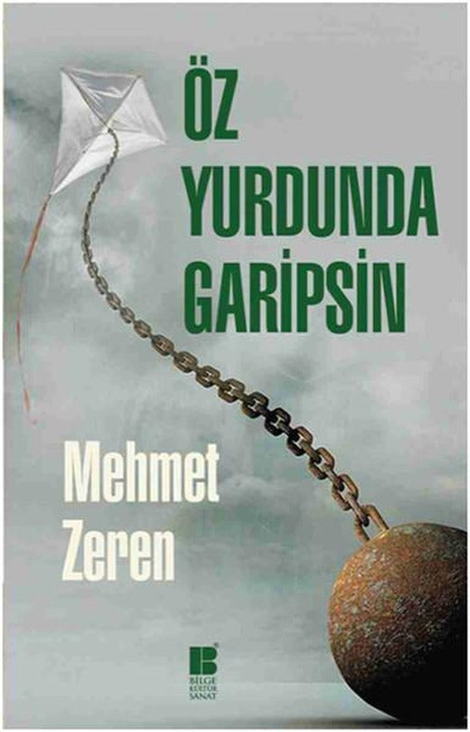 Öz Yurdunda Garipsin | Bilge Kültür Sanat - Roman Dizisi (İnce Kapak)