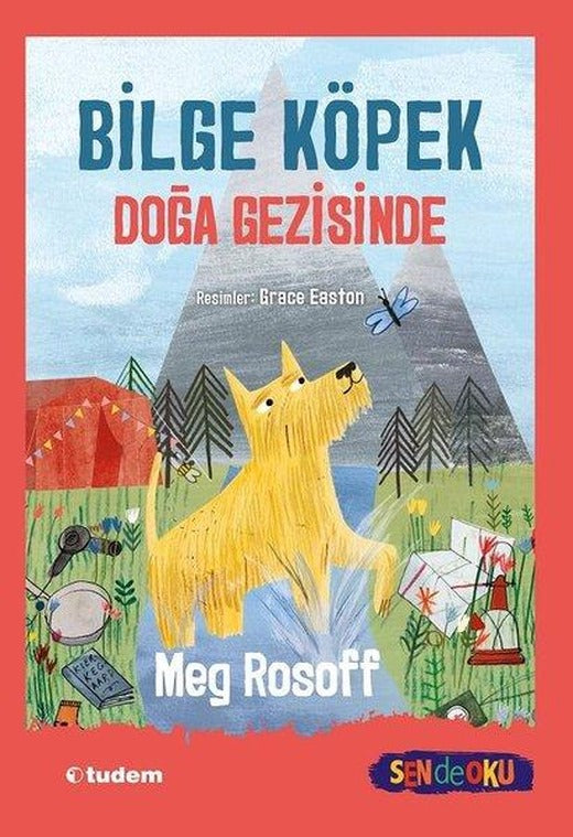 Bilge Köpek Doğa Gezisinde | Tudem Yayınları (İnce Kapak)