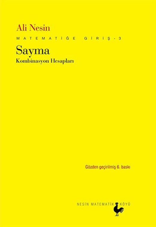 Matematiğe Giriş 3 - Sayma | Nesin Matematik Köyü (İnce Kapak)