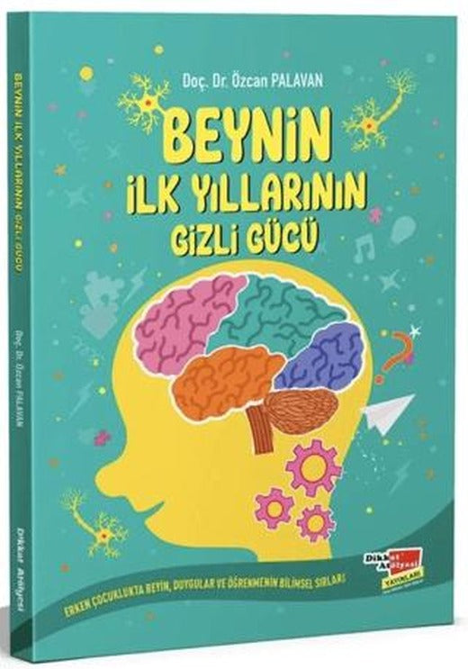 Beynin İlk Yıllarının Gizli Gücü