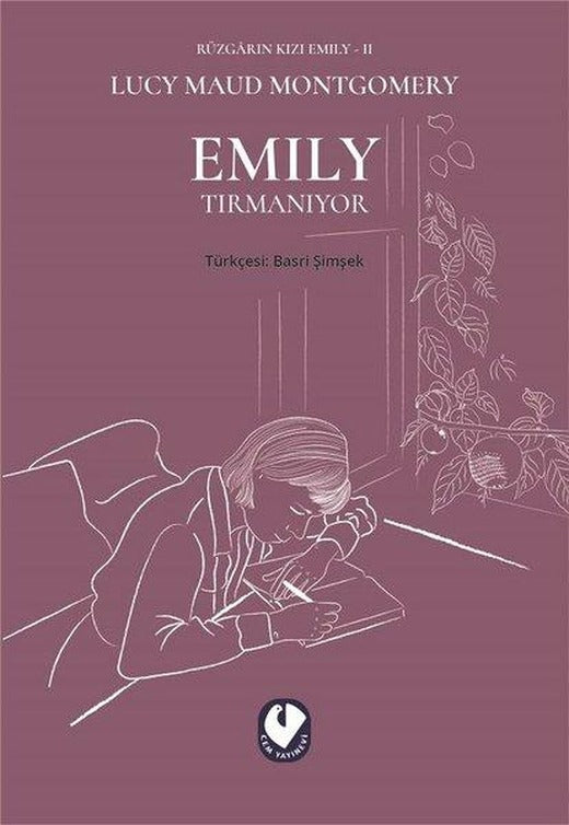 Rüzgarın Kızı Emily 2 - Emily Tırmanıyor | Cem Yayınevi (İnce Kapak)