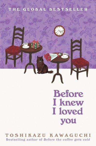 Before I Knew I Loved You | Pan MacMillan (İnce Kapak)  - Resim 1