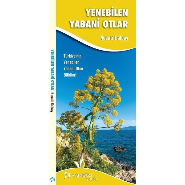 Yenebilen Yabani Otlar