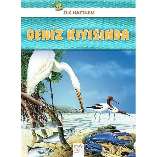 Deniz Kıyısında-İlk Hazinem | 1001 Çiçek