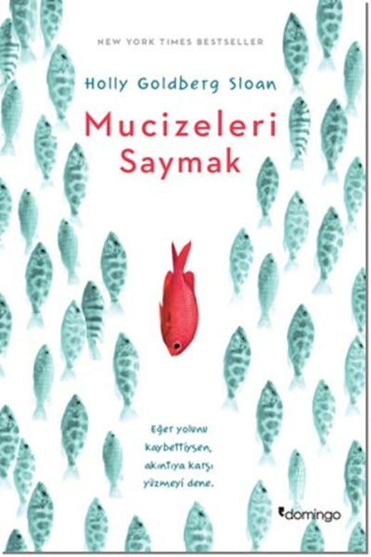 Mucizeleri Saymak | Domingo Yayınevi (İnce Kapak)