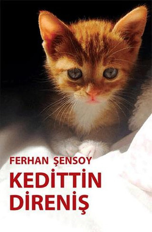 Kedittin Direniş