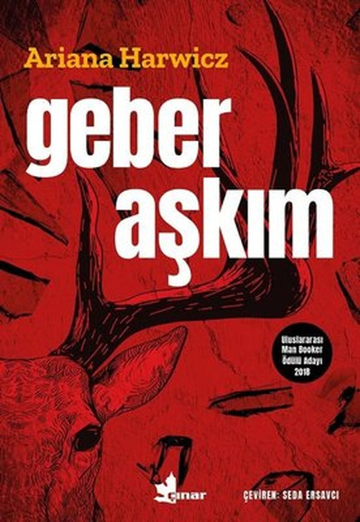 Geber Aşkım | Çınar Yayınları