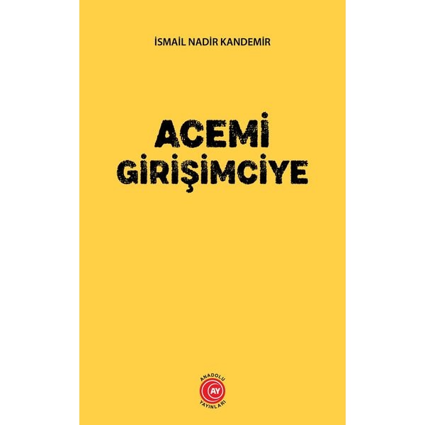 Acemi Girişimciye