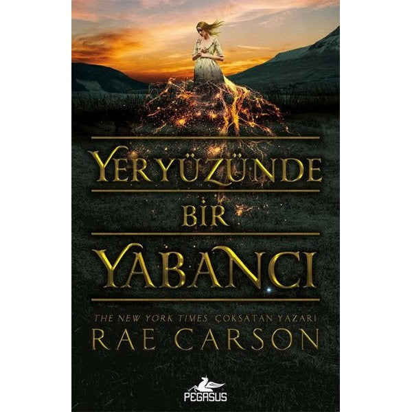 Yeryüzünde Bir Yabancı