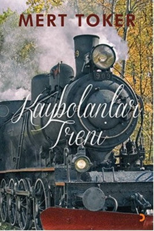 Kaybolanlar Treni | Cinius