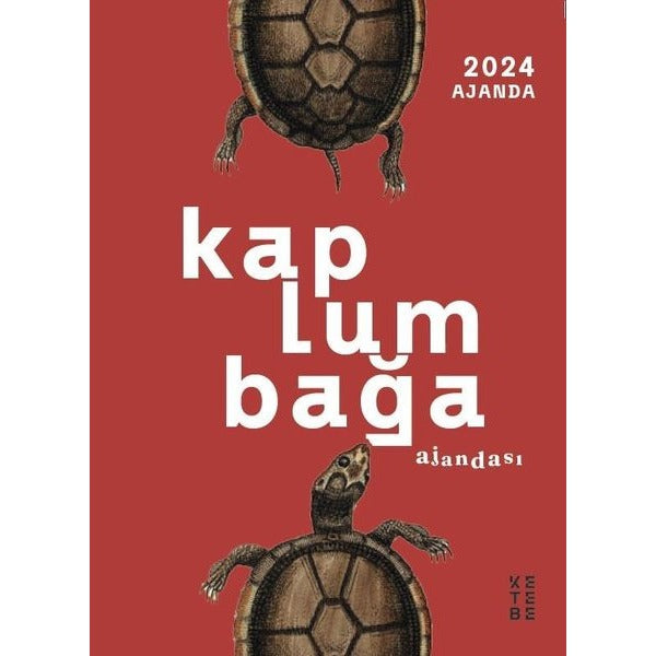 2024 Kaplumbağa Ajandası | Ketebe (İnce Kapak)