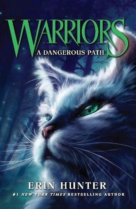 Dangerous Path (Warriors) | Agenor Publishing (İnce Kapak)