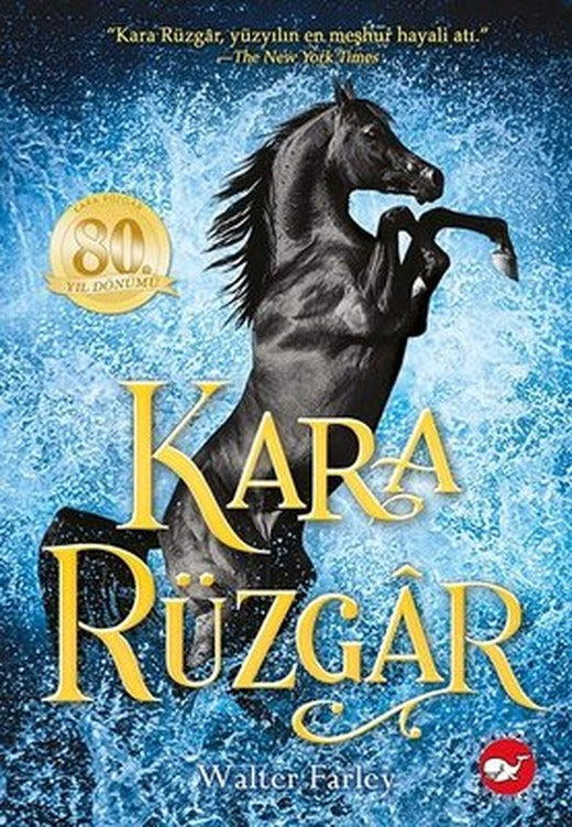 Kara Rüzgar | Beyaz Balina Yayınları