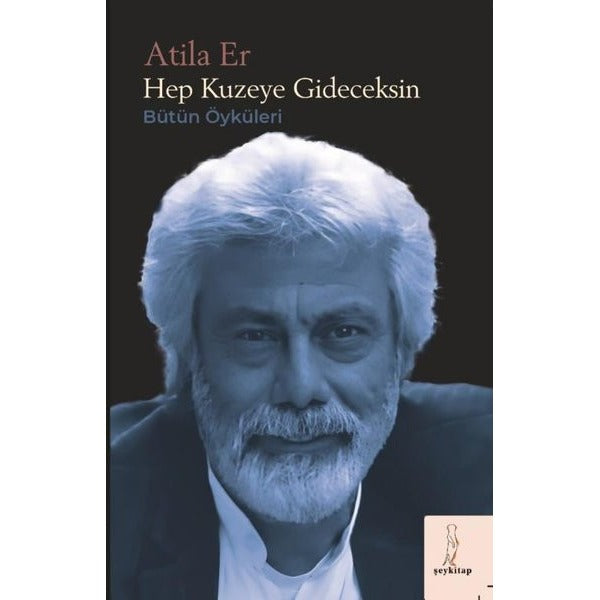Hep Kuzeye Gideceksin - Bütün Öyküleri