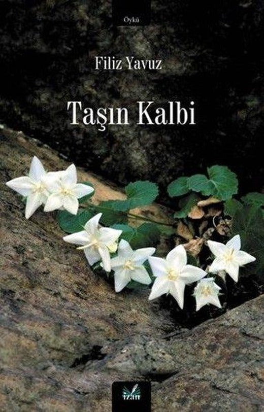Taşın Kalbi | İzan Yayıncılık (İnce Kapak)
