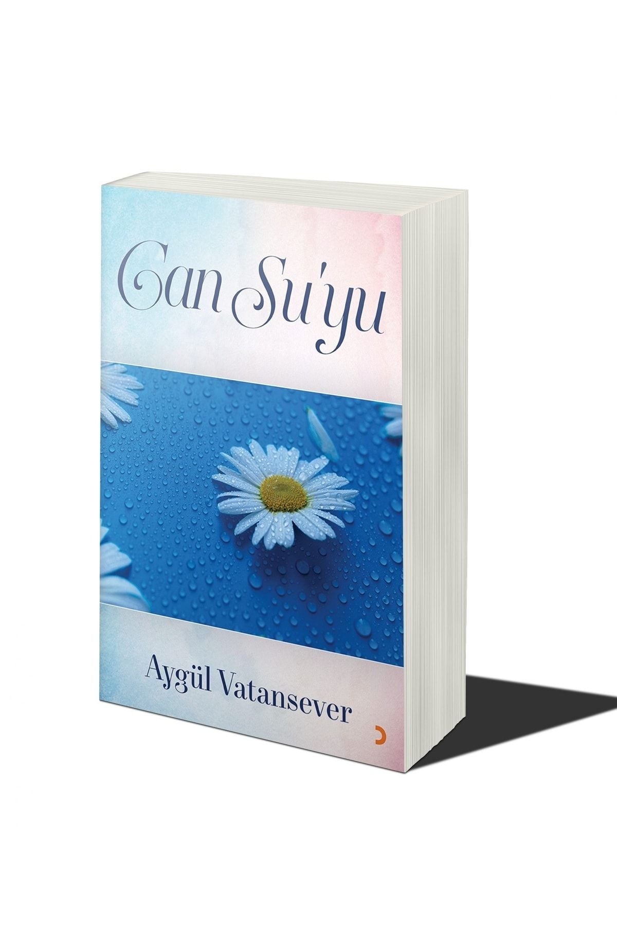 Cinius Yayınevi Can Su’Yu & Aygül Vatansever kitap kapağı