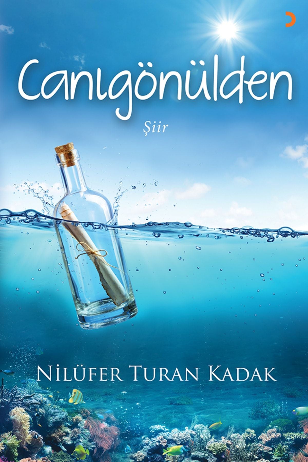 Cinius Yayınevi Canıgönülden & Nilüfer Turan Kadak - Nilüfer Turan Kadak kitap kapağı