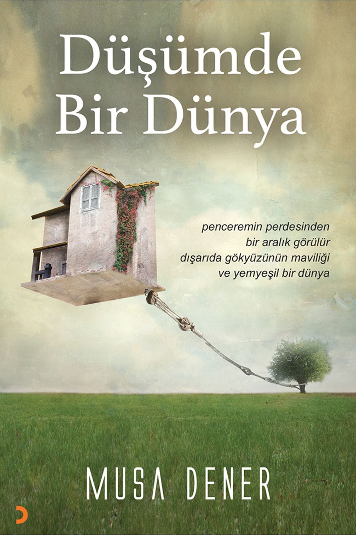Cinius Yayınevi Düşümde Bir Dünya & Musa Dener kitap kapağı