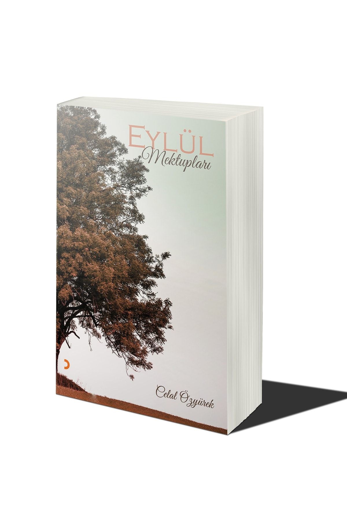 Cinius Yayınevi Eylül Mektupları & Celal Özyürek kitap kapağı