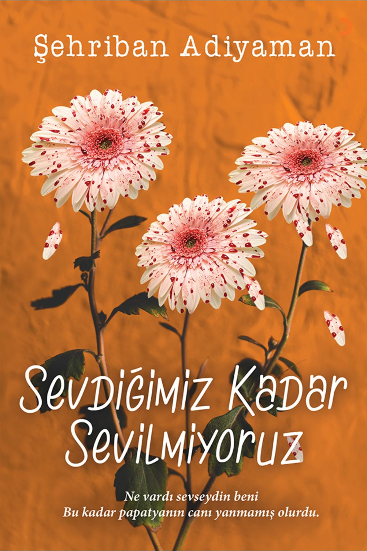 Cinius Yayınevi Sevdiğimiz Kadar Sevilmiyoruz & Şehriban Adiyaman kitap kapağı