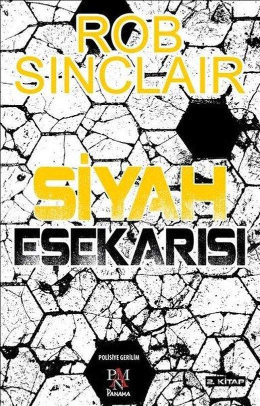 Siyah Eşekarısı | Panama Yayıncılık (İnce Kapak)