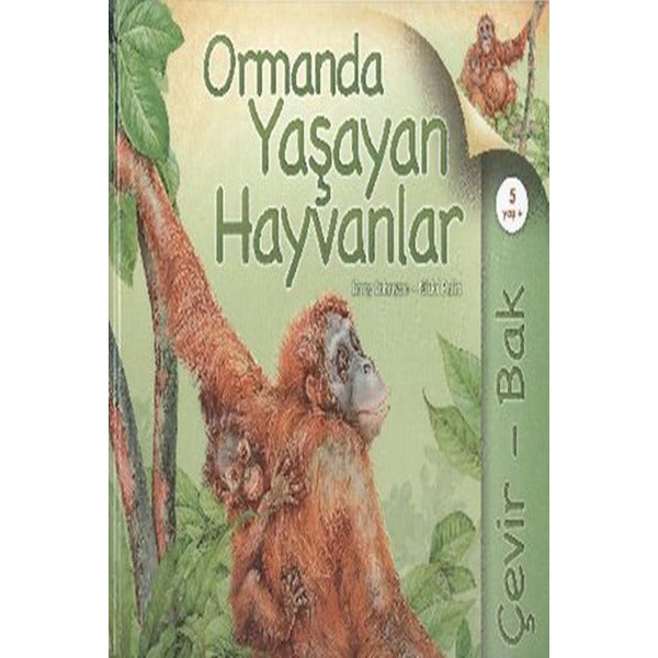 Çevir Bak Ormanda Yaşayan Hayvanlar | Tübitak Yayınları
