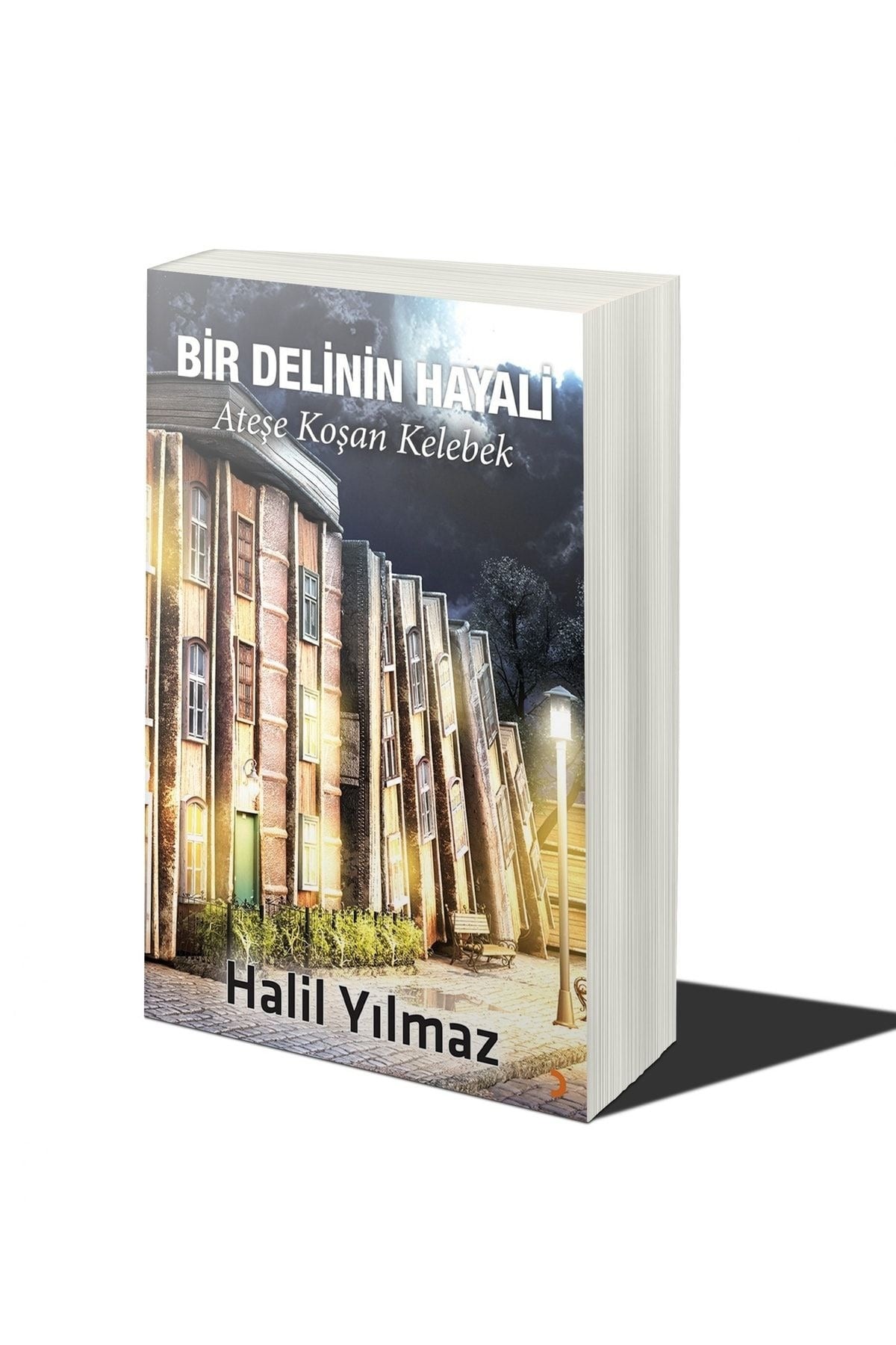 Bir Delinin Hayali