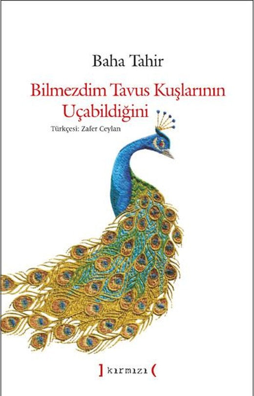 Bilmezdim Tavus Kuşlarının Uçabildiğini | Kırmızı Yayınları (İnce Kapak)